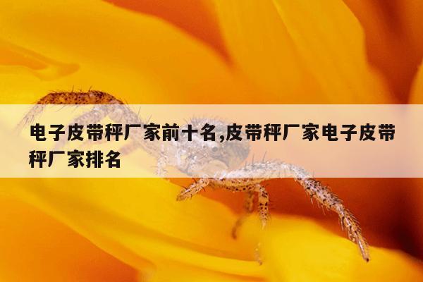 防爆电磁铁厂家,宁波防爆电磁线圈厂家