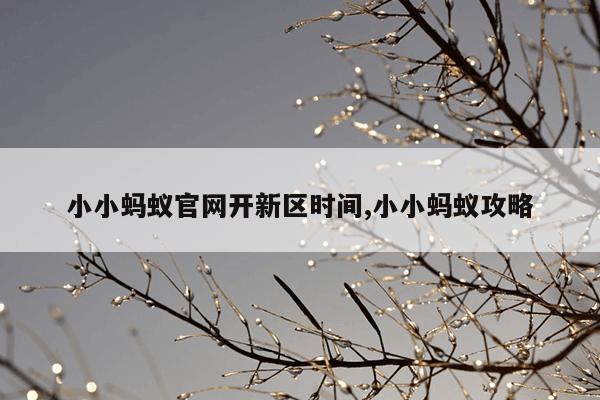电子皮带秤厂家前十名,皮带秤厂家电子皮带秤厂家排名