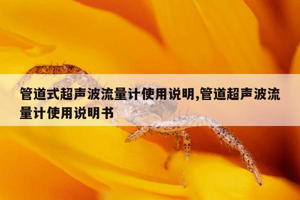 小小蚂蚁官网开新区时间,小小蚂蚁攻略