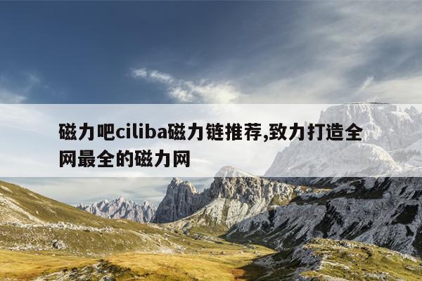 高效的磁力搜索引擎磁力王,最佳高效的磁力搜索引擎吧