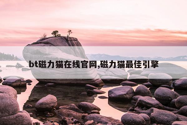 bt种子在线搜索神器引擎,bt种子磁力搜索新版