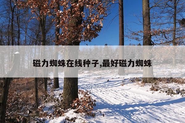 新型磁铁材料厂家排名,磁铁原材料厂家