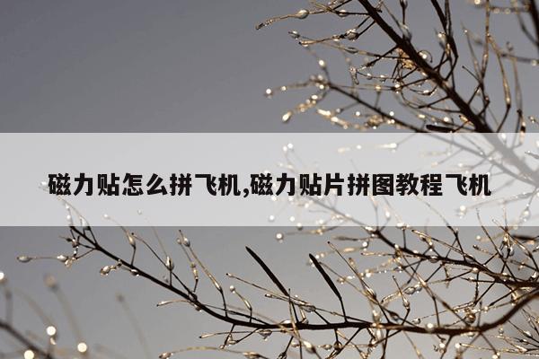 磁力蜘蛛在线搜索神器,磁力蜘蛛在线搜索神器视频