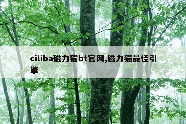 搜索引擎有哪些,搜索引擎有哪些搜狗