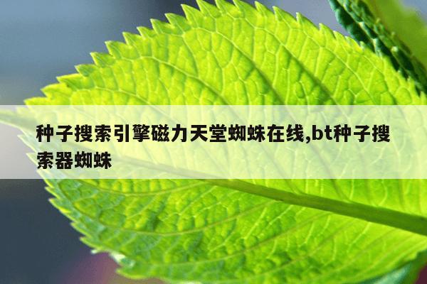 磁力泵的工作原理及结构,磁力泵原理动态图