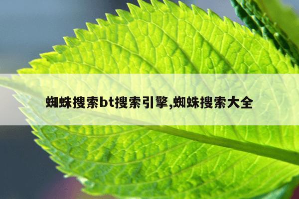 磁力猫torrentkitty磁力官网,最新版磁力猫