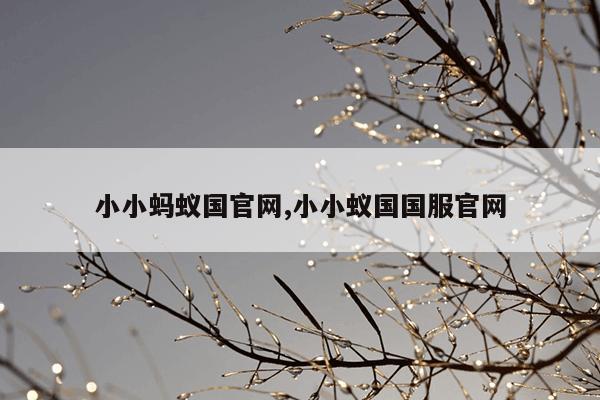 高强磁选设备,强磁磁选机报价