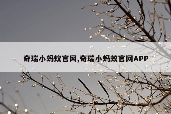 磁力引擎,蜘蛛磁力引擎