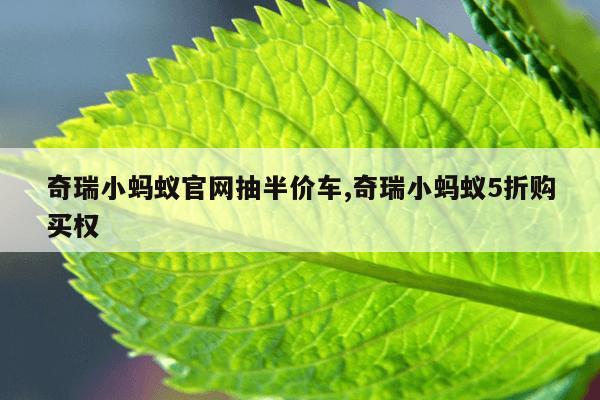 bt种子搜索引擎神器下载,搜索bt种子吧