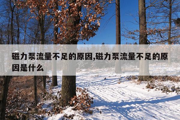奇瑞小蚂蚁官网抽半价车,奇瑞小蚂蚁5折购买权