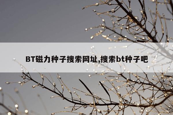 奇瑞小蚂蚁官网电话,奇瑞小蚂蚁售后服务电话
