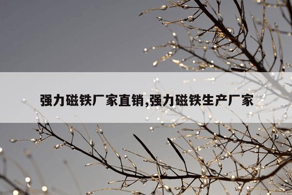 BT蚂蚁磁力官网,蚂蚁bt种子搜索器