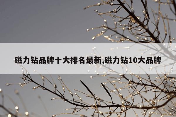 bt磁力搜索引擎-磁力天堂蚂蚁,最高效磁力引擎磁力天堂