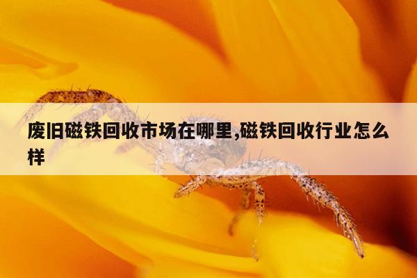 强磁吸铁器价格图片,强磁铁图片