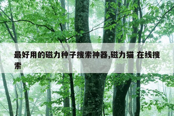 最佳的磁力搜索神器,最佳的磁力搜索神器是