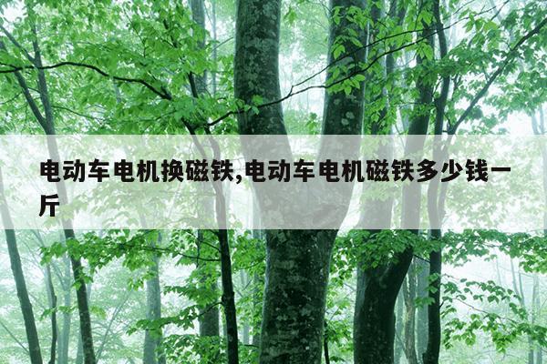 液氯磁力泵工作原理,液氯泵厂家哪个最好