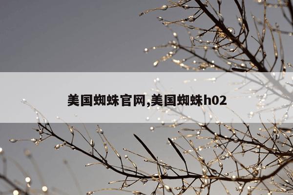 电动车电机换磁铁,电动车电机磁铁多少钱一斤