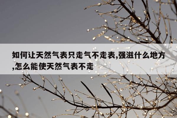 美国蜘蛛官网,美国蜘蛛h02