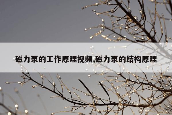 蚂蚁进化3d无限资源版最新版,蚂蚁进化3d无敌版入口