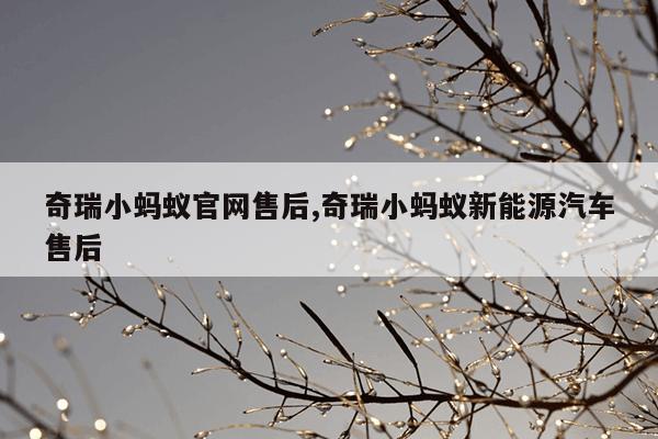 搜索器,搜索器英文