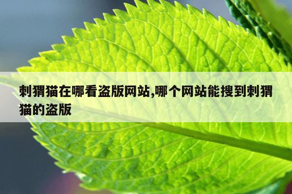 bt蚂蚁磁力搜索引擎在线种子搜索,bt 搜索 蚂蚁