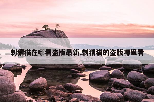 刺猬猫在哪看盗版网站,哪个网站能搜到刺猬猫的盗版