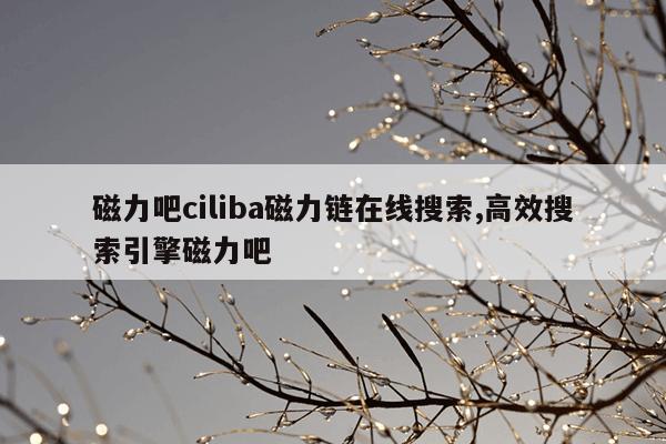 小型磁力钻价格表,小型磁力钻价格表图片大全