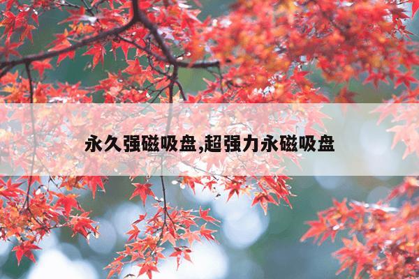 猫磁力搜索,磁力搜索器 磁力猫在线