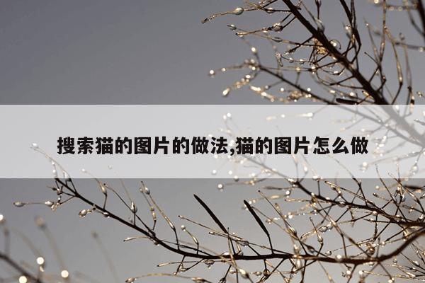 温州磁力泵生产厂家,磁力泵价格