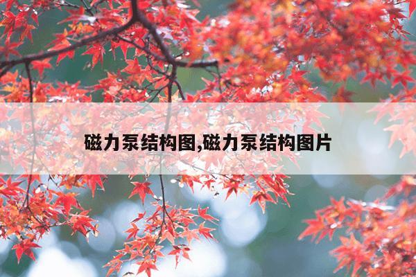 磁力蚂蚁链接在线,磁力搜索蚂蚁蜘蛛