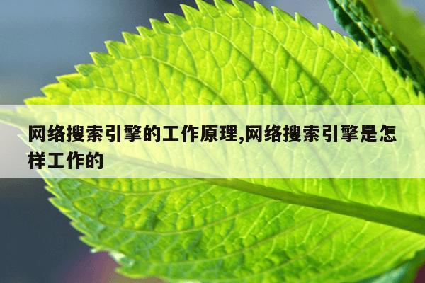 磁力棒怎么拼陀螺,磁力棒拼图大全教程