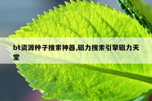 网络搜索引擎的工作原理,网络搜索引擎是怎样工作的