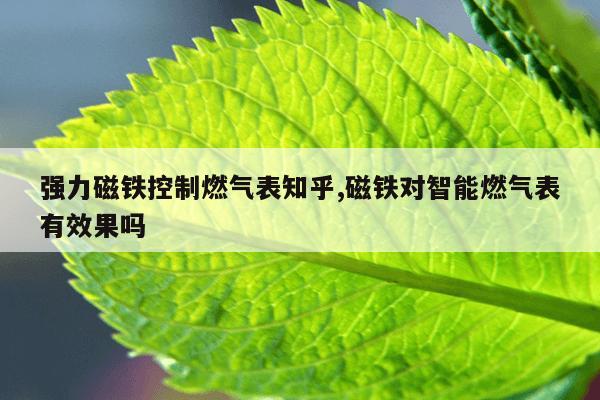 钕磁铁多少钱一块儿,钕磁铁多少一公斤