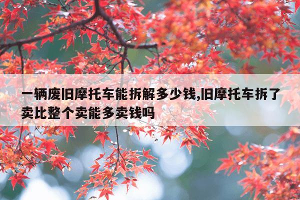 cilimao磁力猫搜索引擎官网,最新版磁力猫