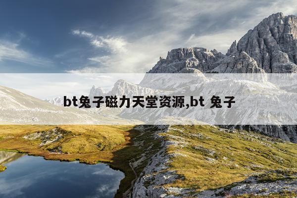 磁力泵的结构组成视频,磁力泵的结构组成视频讲解