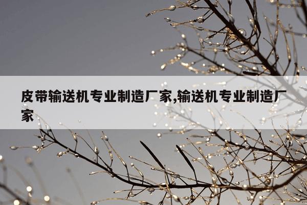 液体磁力泵灌装机,液体磁力泵灌装机故障