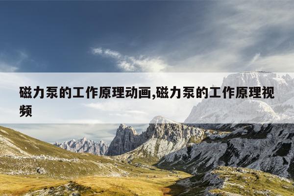 磁力积木益智玩具,磁力积木的玩法