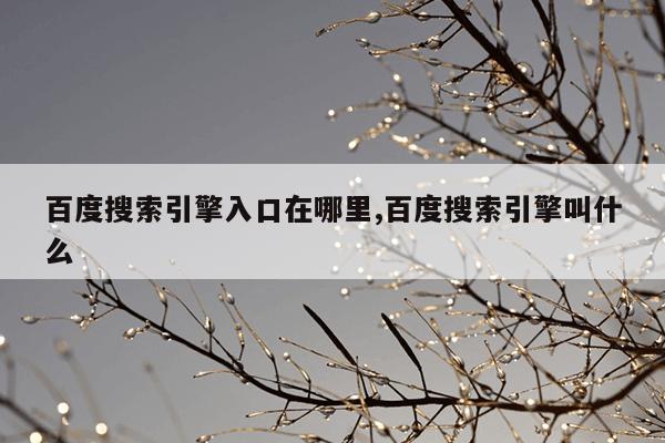 磁力珠拼飞机,磁力片拼搭飞机