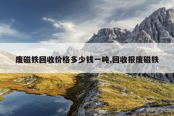 电动车的磁铁多少钱一斤,电动车磁铁多少钱一斤回收