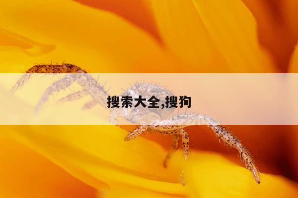 种子搜索神器bt下载,推荐几款种子搜索神器