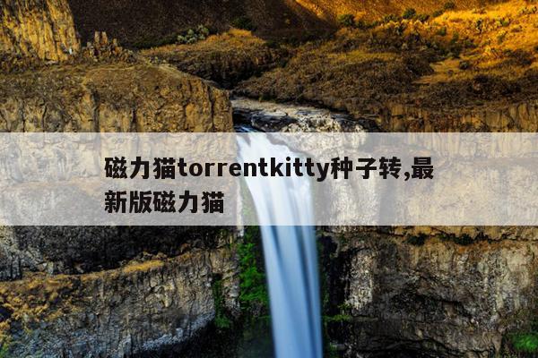 磁铁车牌联系方式,磁铁号牌电子眼能拍到吗