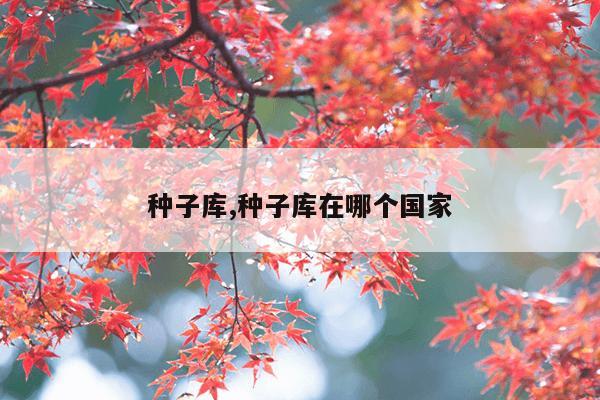 磁力泵泵头结构图,磁力泵总成