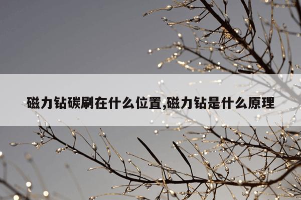 氟塑料磁力泵结构图解,氟塑料合金磁力泵cqb系列