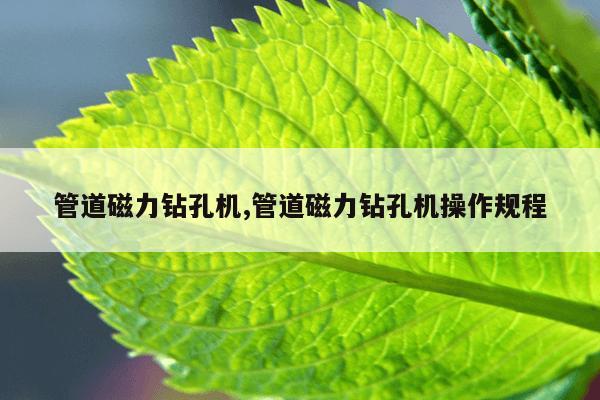 bt种子磁力搜索器,种子搜索引擎 磁力岛