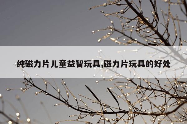 磁力泵无流量是什么原因,磁力泵无流量是什么原因导致的