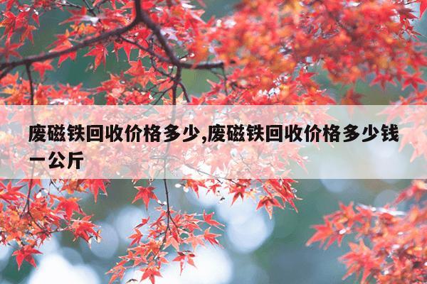 磁力片什么品牌好,磁力片哪种品牌好