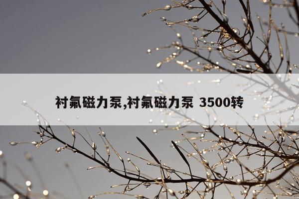 网络蜘蛛搜索引擎,蜘蛛搜索器