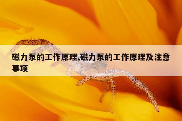 衬氟磁力泵,衬氟磁力泵 3500转