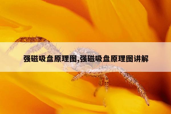 手电钻钻头规格尺寸大全,手电钻钻头型号及尺寸规格