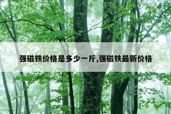 强磁吸盘原理图,强磁吸盘原理图讲解